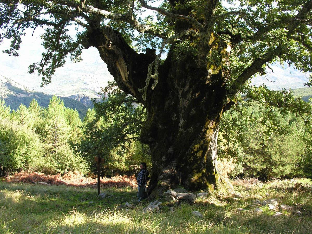Hotel Paradiso Delle Madonie Castelbuono  Eksteriør bilde